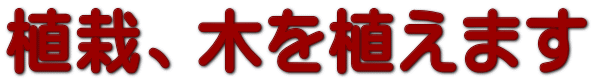 植栽、木を植えます
