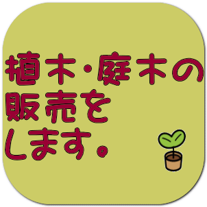 植木・庭木の 販売を します。